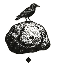 The Black Valley jackdaw and boulder mark